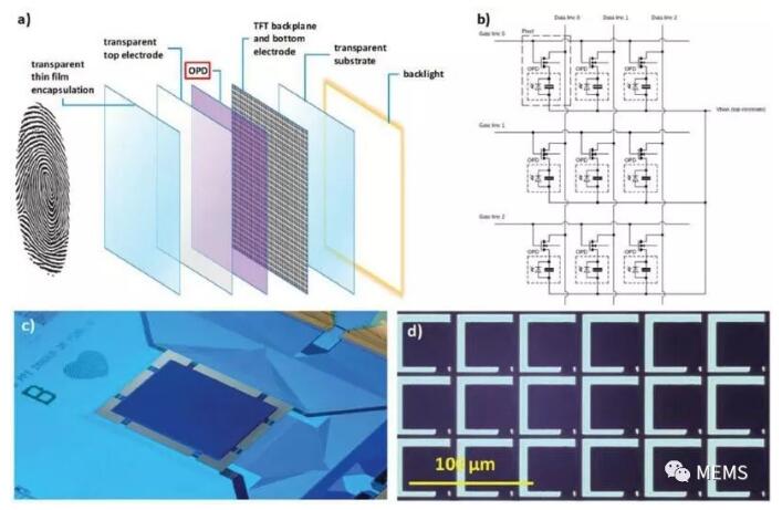 荷蘭科學家研發(fā)新型柔性高分辨率指紋識別傳感技術