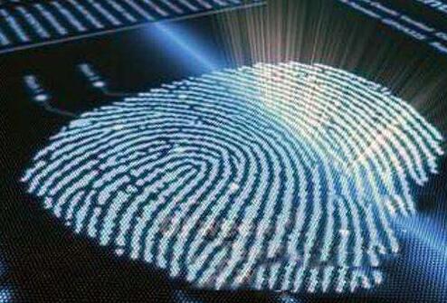 荷蘭科學家研發(fā)新型柔性高分辨率指紋識別傳感技術